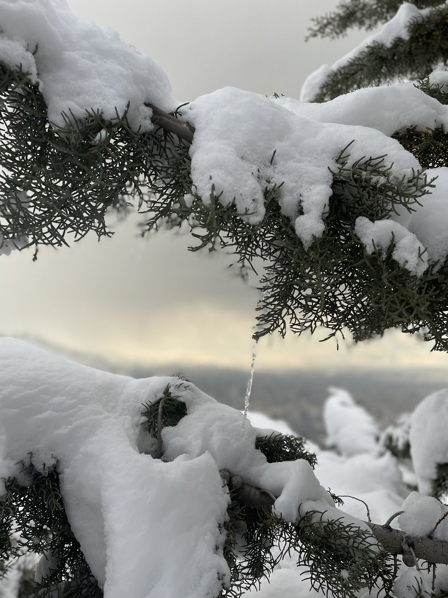 Mostafaa8110's tweet photo. Snowy #weekend brakes https://t.co/FK26zN5GFe