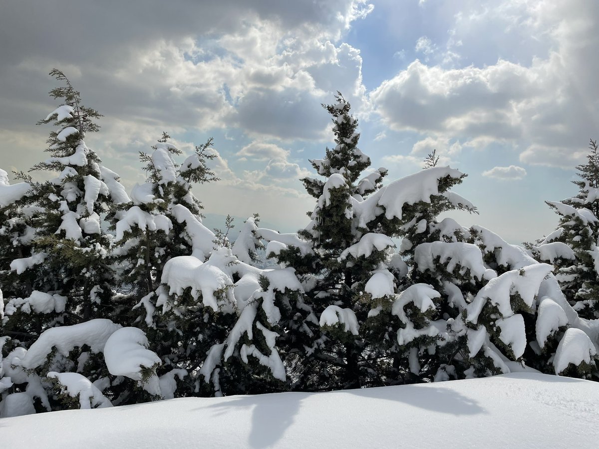 Mostafaa8110's tweet photo. Snowy #weekend brakes https://t.co/FK26zN5GFe