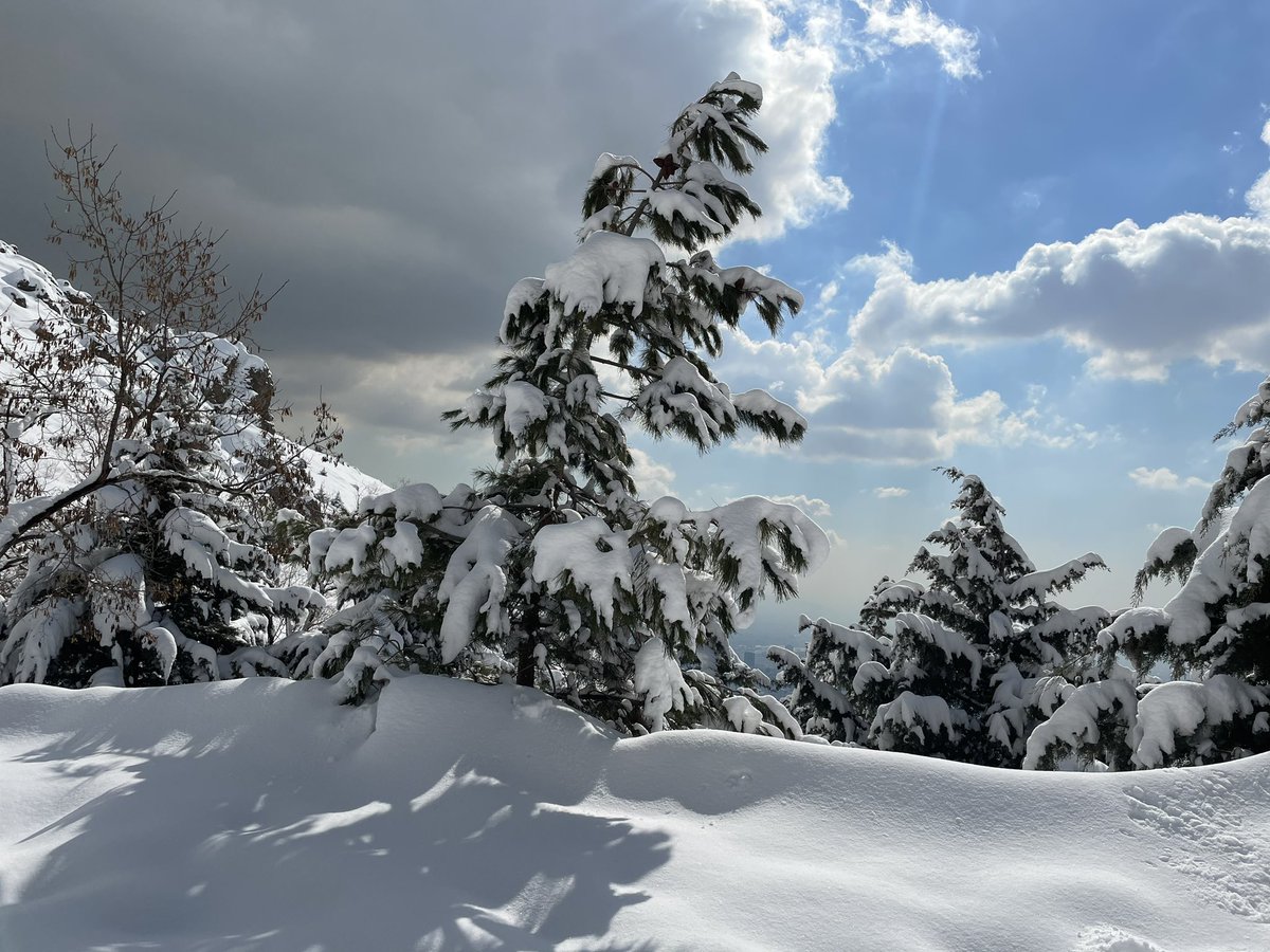 Mostafaa8110's tweet photo. Snowy #weekend brakes https://t.co/FK26zN5GFe
