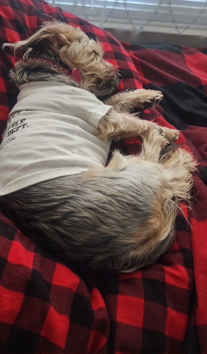 @LiamandRiley tweet media