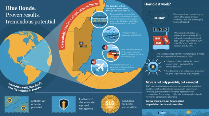 Image from UN Biodiversity (@UNBiodiversity)