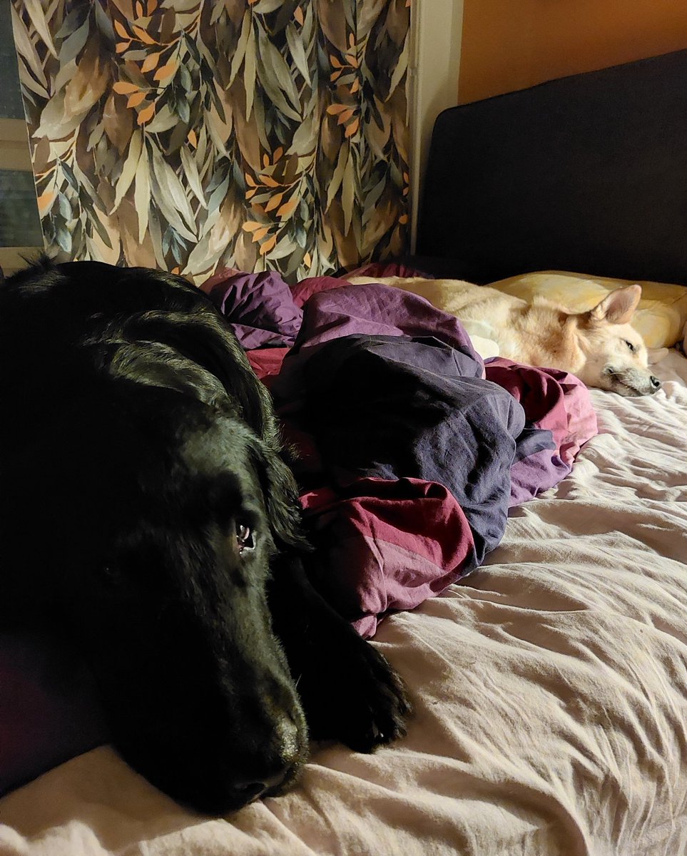 Brett Duffy on Twitter "RT Haukku2022 Good night, sleep tight, don’t