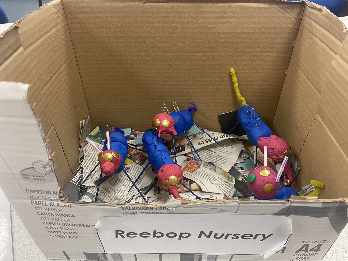 Beautiful genetically diverse Reebops babies from <a href="/SSERCBiology/">SSERC Biology</a> for S3 Biology this afternoon. Great work! 🧬👶 🧬👶🧬👶 #workhard #kirkyproud