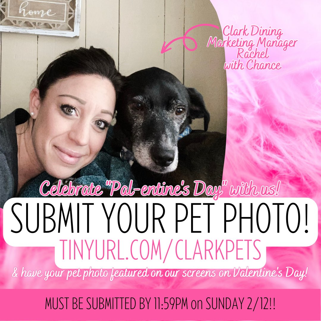 ClarkDining's tweet image. We all love our pets! This “Pal-entine’s Day,” we’re celebrating them! Send us your best pet photos and we’ll play them on the screens in Higgins. Go to tinyurl.com/clarkpets to send in your pictures!