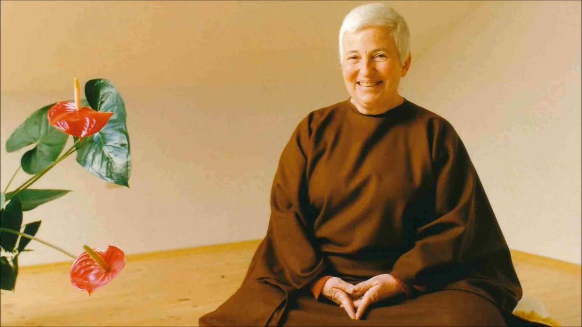 Christopher X. Shade tweet media