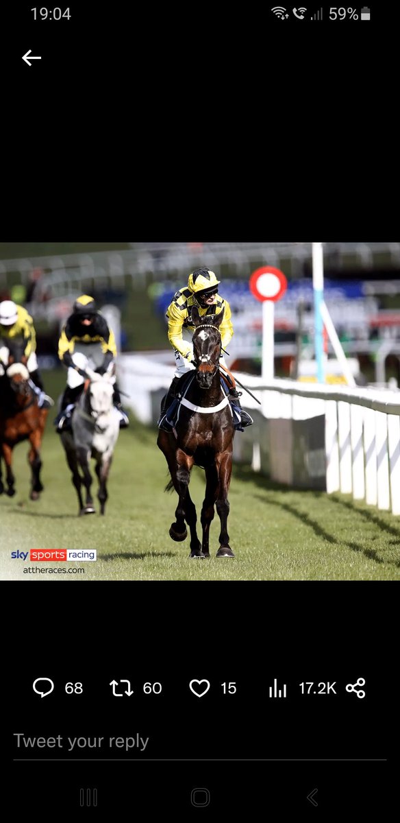 joemc59's tweet photo. @AtTheRaces @Ascot https://t.co/p5iwqqQ3Sw