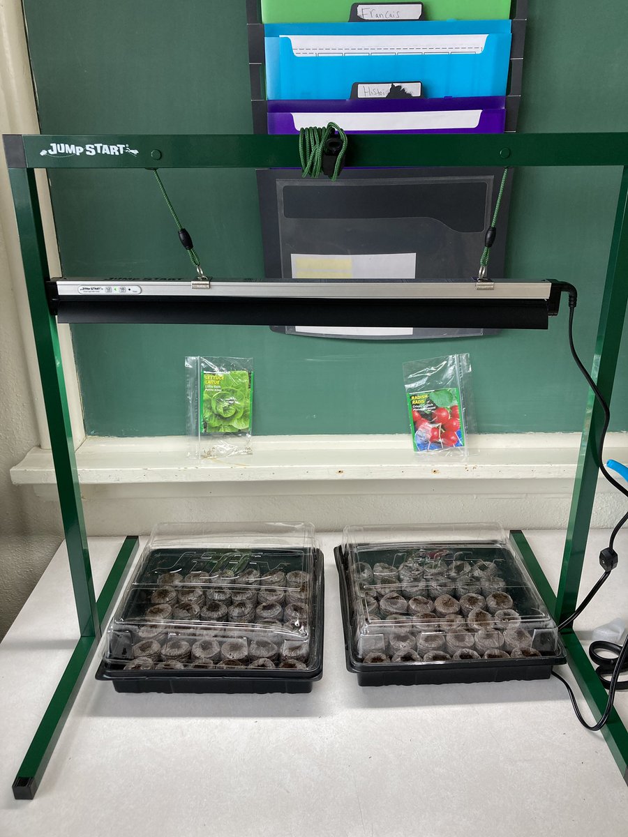 Meghan Polowin 🚀🌎🔬 (@mspolowin) on Twitter photo Green thumbs in the making! Students planted lettuce and radish seeds to start off our classroom garden journey today. #ClassroomGardens 🥗🌱 Thank you <a href="/ONFE_ROPE/">Ottawa Network for Education</a> <a href="/SpaceSimonM/">Simon McMillan</a> Green thumbs in the making! Students planted lettuce and radish seeds to start off our classroom garden journey today. #ClassroomGardens 🥗🌱 Thank you <a href="/ONFE_ROPE/">Ottawa Network for Education</a> <a href="/SpaceSimonM/">Simon McMillan</a>