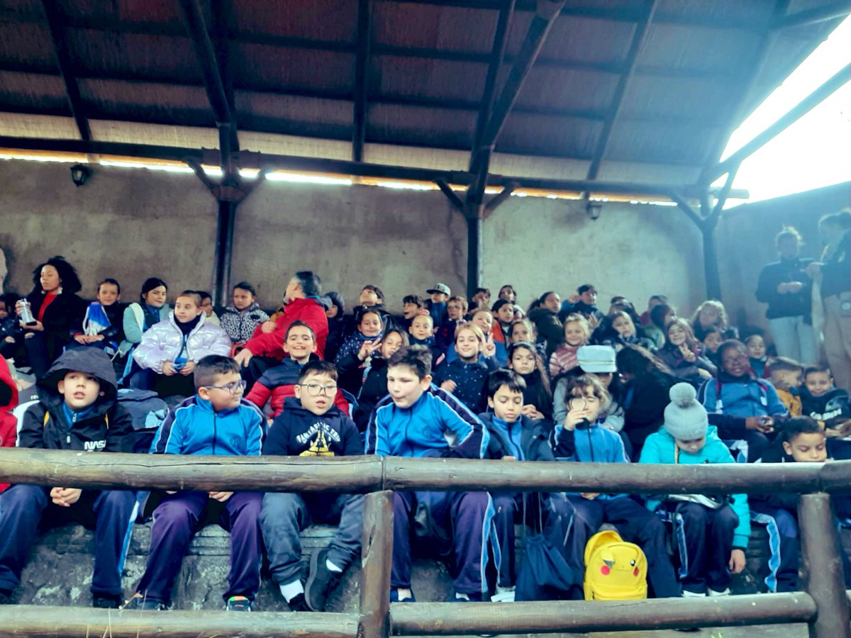 LaGoletaColegio's tweet photo. #Salidas ➡️
Que buena mañana hemos pasado en @BioparcF 🐅 con nuestros alumnos de #PrimariaGoleta cómo actividad final de nuestro proyecto de Biodiversidad en la asignatura de Natural Science.
Amazing‼️
#SomosLaGoleta💙
@cevhcsur https://t.co/zZf0ZCN6Vh