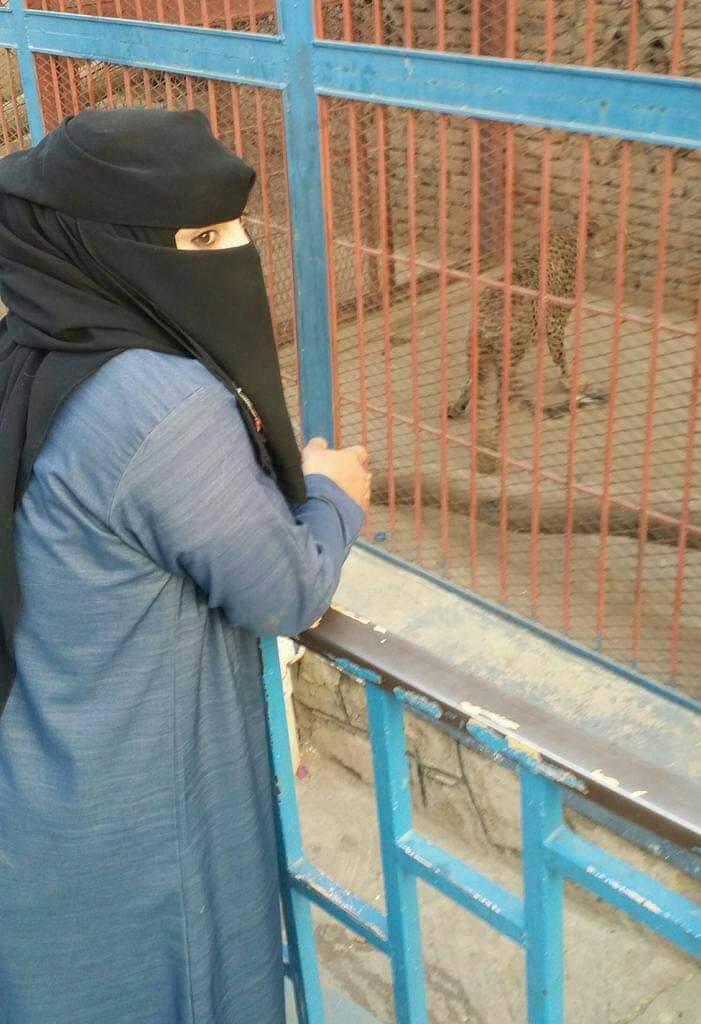 مسائكم من حديقة الحيوانات