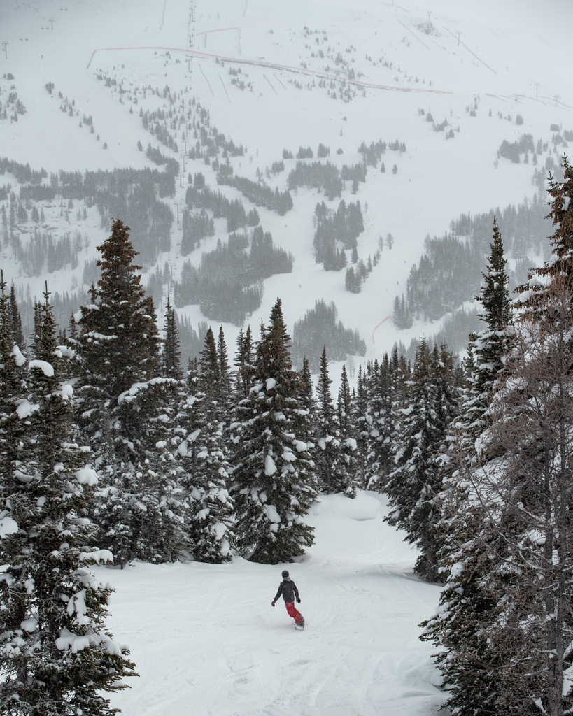 SkiBig3's tweet photo. Winter shines at @sunshinevillage π«β
β
The SkiBig3 Resorts have received upwards of 32cm in the last 7 days, with mild temps heading into the weekend. π€©
β
#SkiBig3 #SunshineVillage #canada #travelalberta #banffnationalpark #snowboarding #snowboardingisfun https://t.co/wrFD6HUlH7