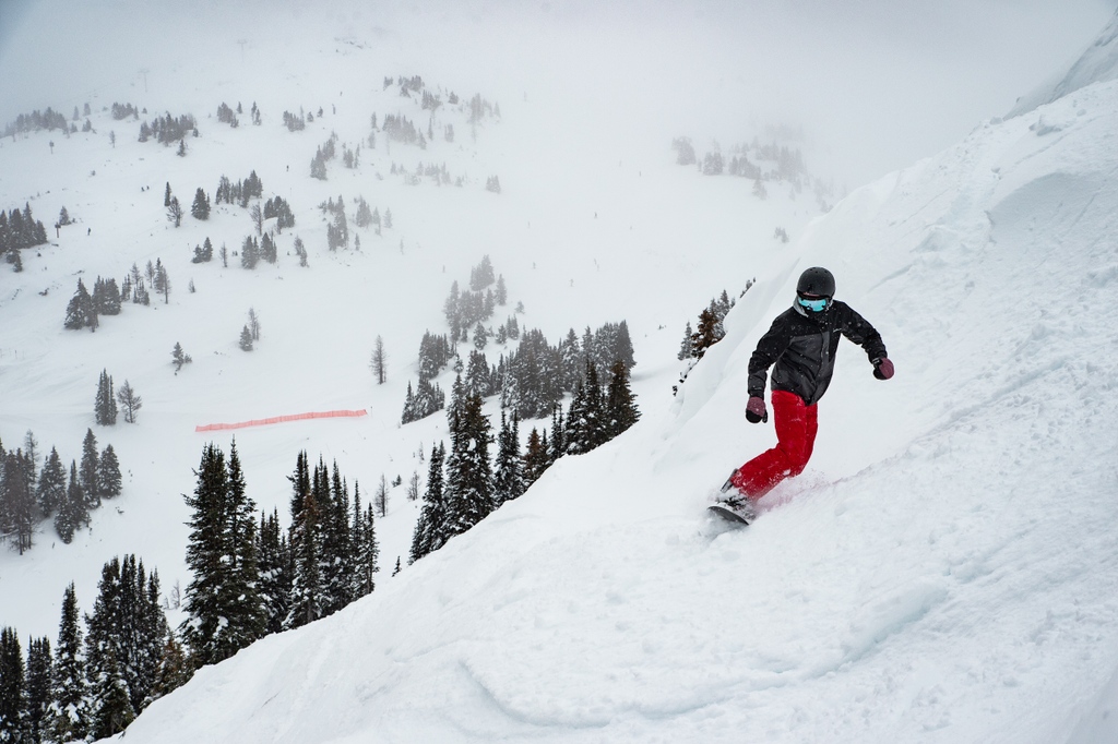 SkiBig3's tweet photo. Winter shines at @sunshinevillage π«β
β
The SkiBig3 Resorts have received upwards of 32cm in the last 7 days, with mild temps heading into the weekend. π€©
β
#SkiBig3 #SunshineVillage #canada #travelalberta #banffnationalpark #snowboarding #snowboardingisfun https://t.co/wrFD6HUlH7