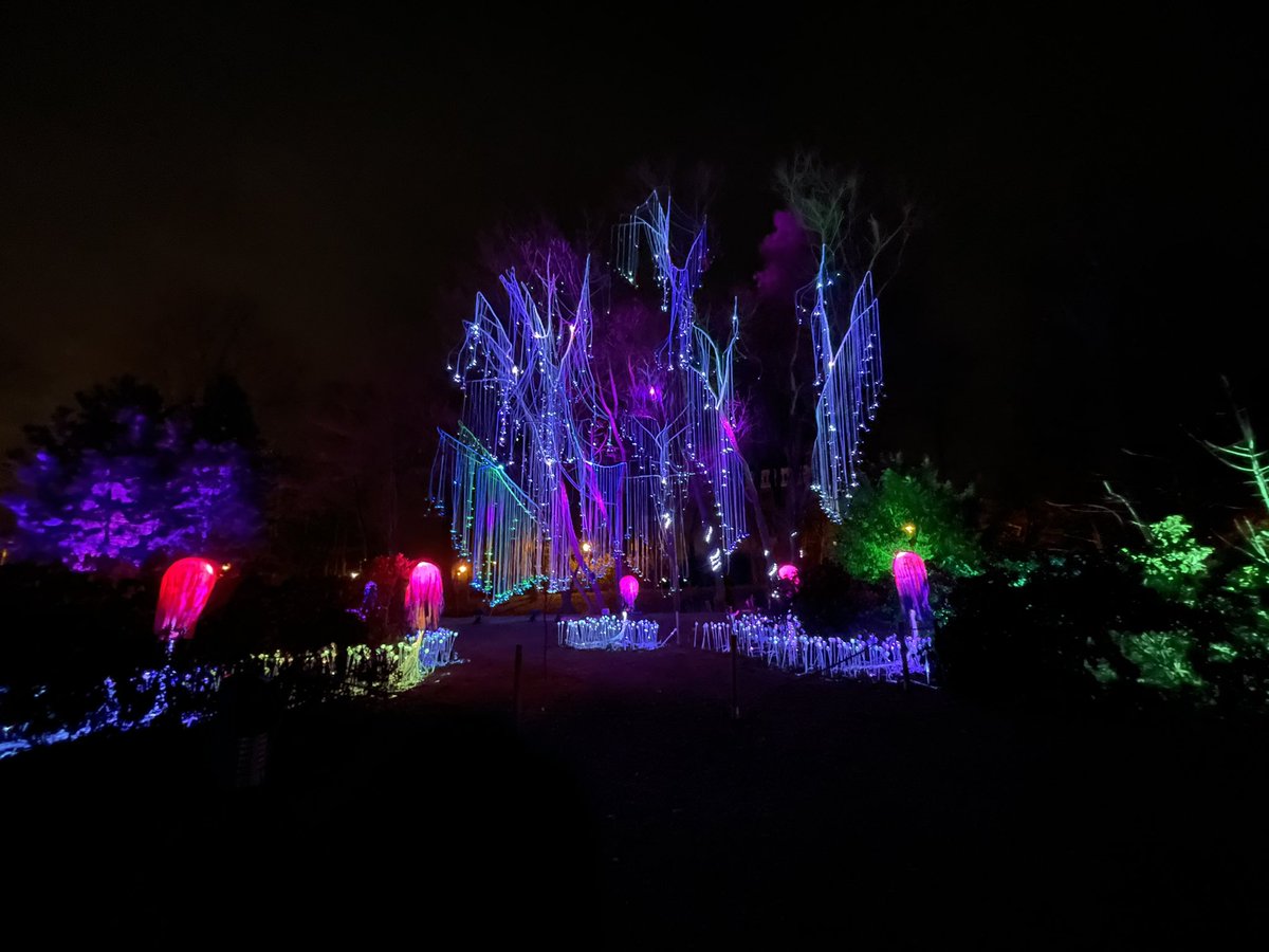 Agniesz25249989's tweet photo. Jeśli będziecie we Wrocławiu, polecam! #luminapark https://t.co/hZyuoEqk9O