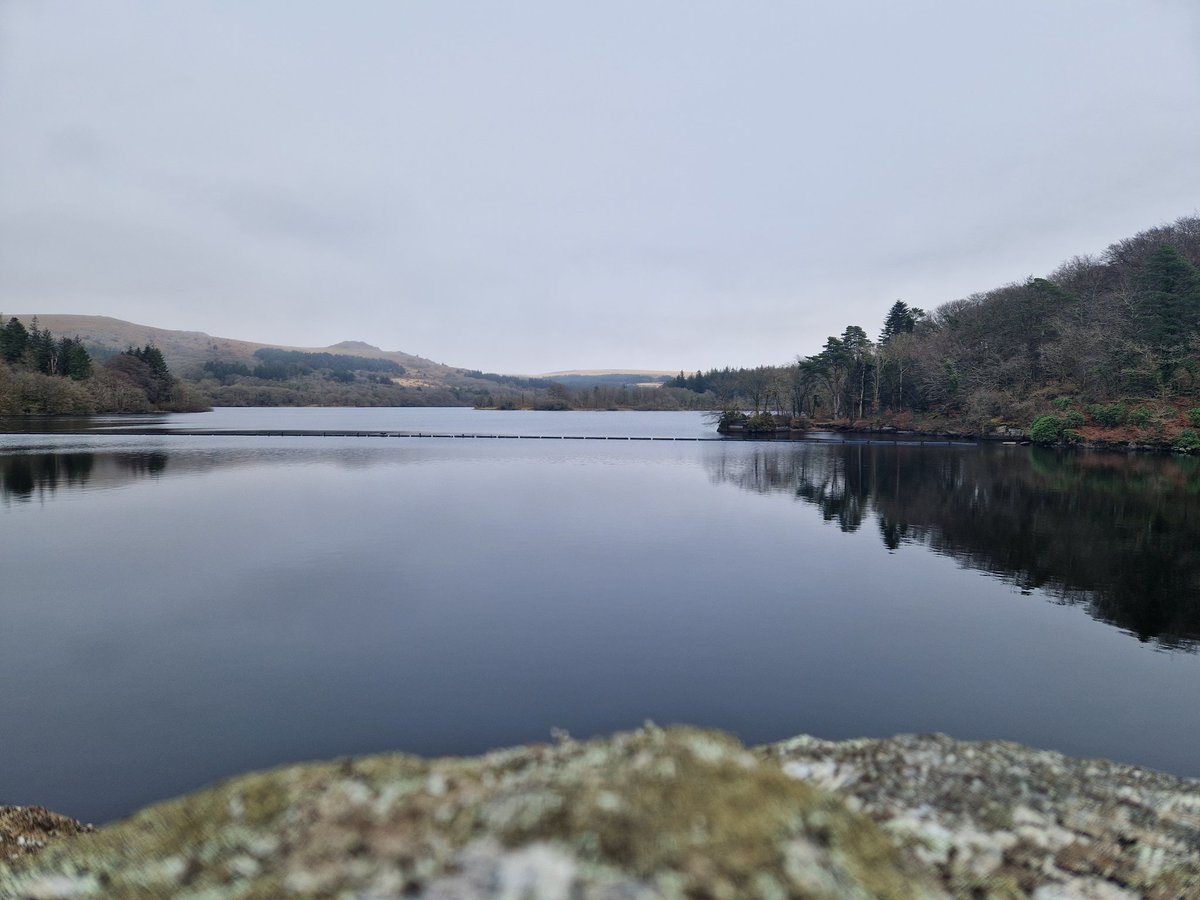 Perry_Hayward's tweet photo. Burrator Loop today 🚴🏻♂️
Cheeky little unexpected lunchtime ride.
#Cycling #Strava #StravaCycling #Wahoo #WahooElemnt #Rapha #KaskHelmets #Kask #Burrator #Dartmoor #OutdoorsIsFree https://t.co/Vg2gYThW4c