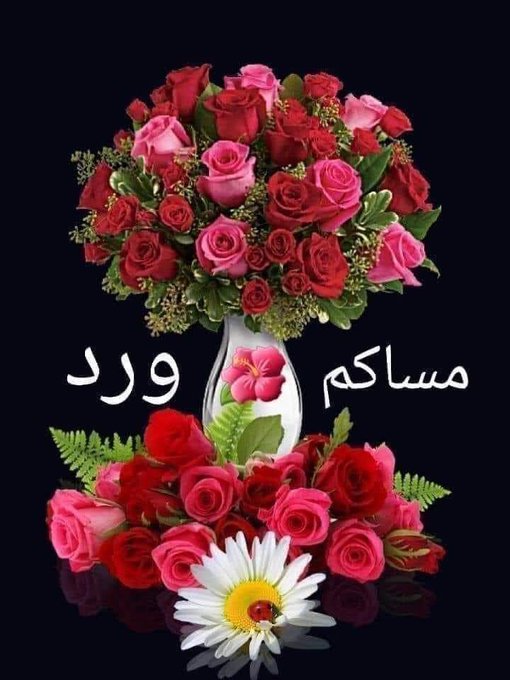 احمد من طرابلس حاليا ف زليتن حنون رومنسى (@mdsq18) on Twitter photo 