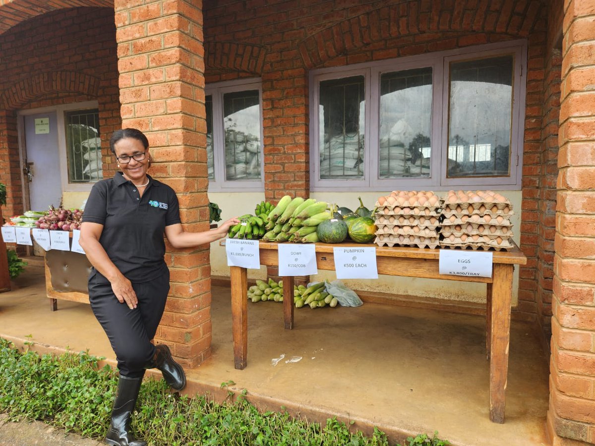 Today the Chairpeson of LUANAR and all Council members toured Bunda Commercial Farm. They were impressed to note that for the first time after a decade or so, LUANAR  has managed to increase the cultivated area to more than 310 ha. Last year, only 130 ha was cultivated.