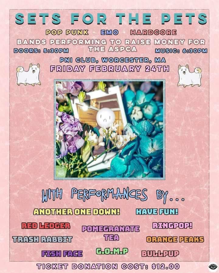 OUR NEXT SHOW!!!! Fri. Feb 24 at the PNI Club in Worcester, doors at 5:30, Music at 6:30. $12 a head, with proceeds going to the ASPCA!