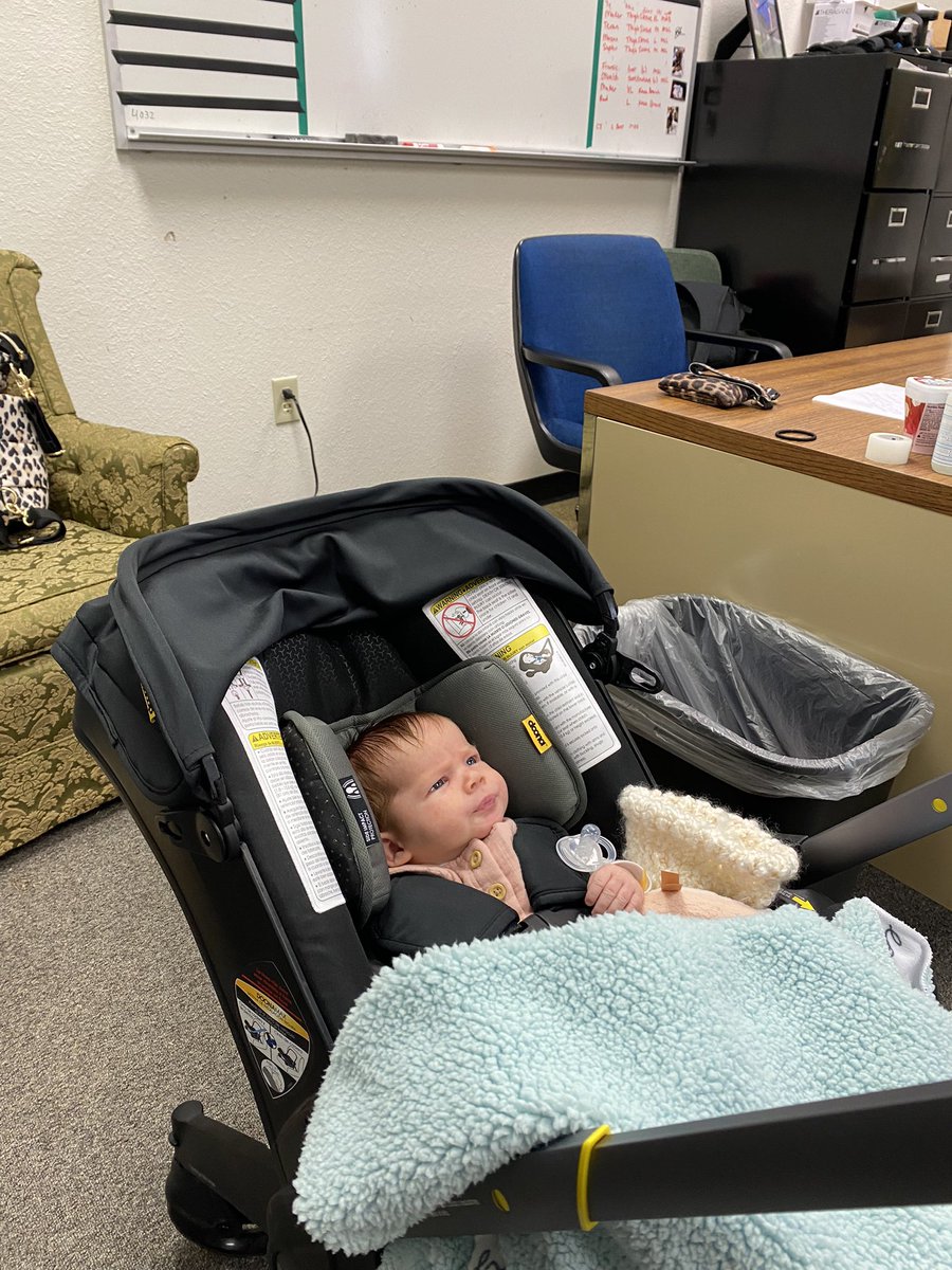 hollymcabshire's tweet image. Just another day at the office with my mini me!

#MiniMac