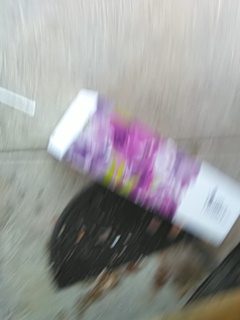 Deanne Taylor tweet media