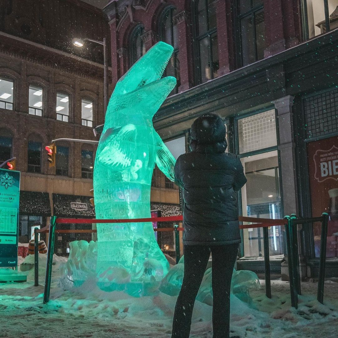 Ottawa_Tourism's tweet photo. One of the MUST-SEE sites during Winterlude 😍 

Tag someone you'd like to check @SparksStreet out with this weekend!👇 ⁣
⁣⁣
📷 :⁣
pixelspointe⁣⁣/IG
chasep_photos⁣⁣/IG
maarrtinnnn⁣⁣/IG
⁣⁣
#MyOttawa #Winterlude #WinterludeEvents #ExploreCanada https://t.co/105VYE3SNf