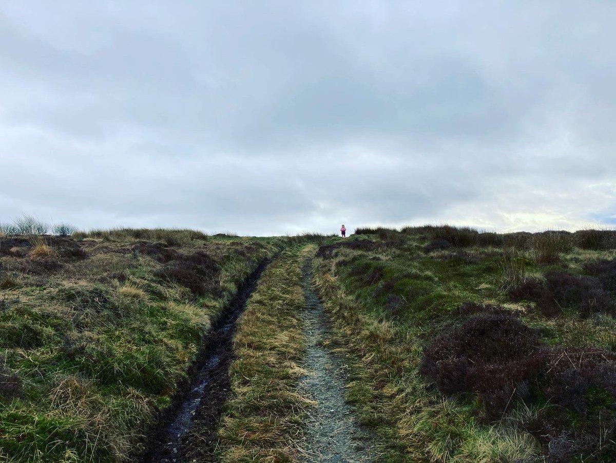 bernardsfarmuk's tweet photo. Those little legs π§ββοΈπ have walked miles today checking sheep over our tack land.π₯°
The question is:
will they sleep tonight? π€π₯±
#Betsy #MiniShepherdess #FarmToddler #Red #ColliePup #WorkingDogs #BorderCollie #PeakDistrictNationalPark #UplandFarming #SpringtimeOnTheFarm https://t.co/yTg7Lnr1dq