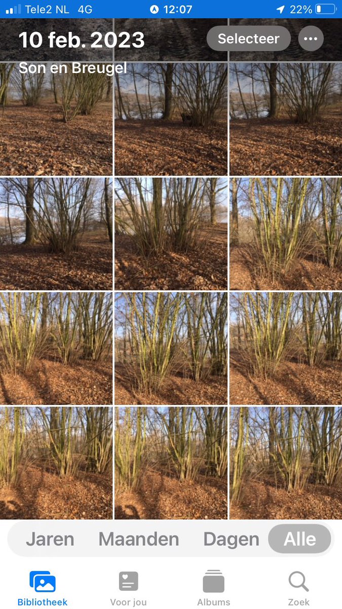 suusonline's tweet photo. Even voor iedereen die zich afvraagt hoe ik de ‘zoekplaatjes’ met Dex maak: speeltje weggooien, op een strategische plek gaan staan, ‘blijf’ roepen en dan heel veel foto’s maken, met de hoop dat er een goeie tussenzit. ☺️ NB: Gebaseerd op #FindMomo dus niet zelf bedacht. #Dex https://t.co/DUl8L2Kc0o