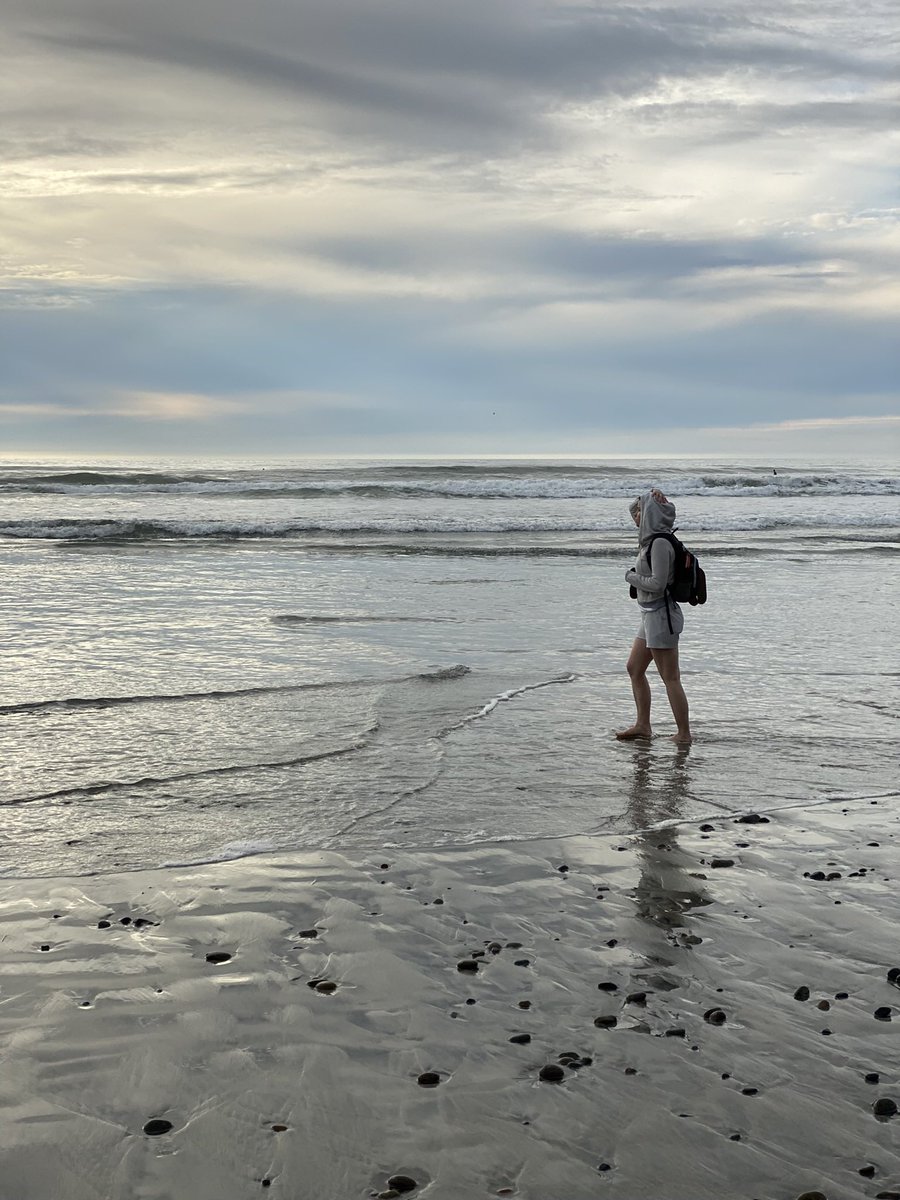 JessicaGlaves's tweet photo. How many rocks is too many? ๐ค๐ชจ I hear my @stacculents screaming at me to stay away from that excessive water ๐คฎ๐
#Beaconbeach #rocksrock #hydrophobicbuddy https://t.co/IttVqsPUXP
