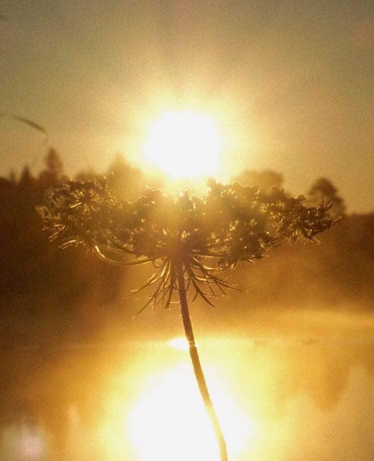 ThreeSeeking's tweet image. The sunshine is shining.