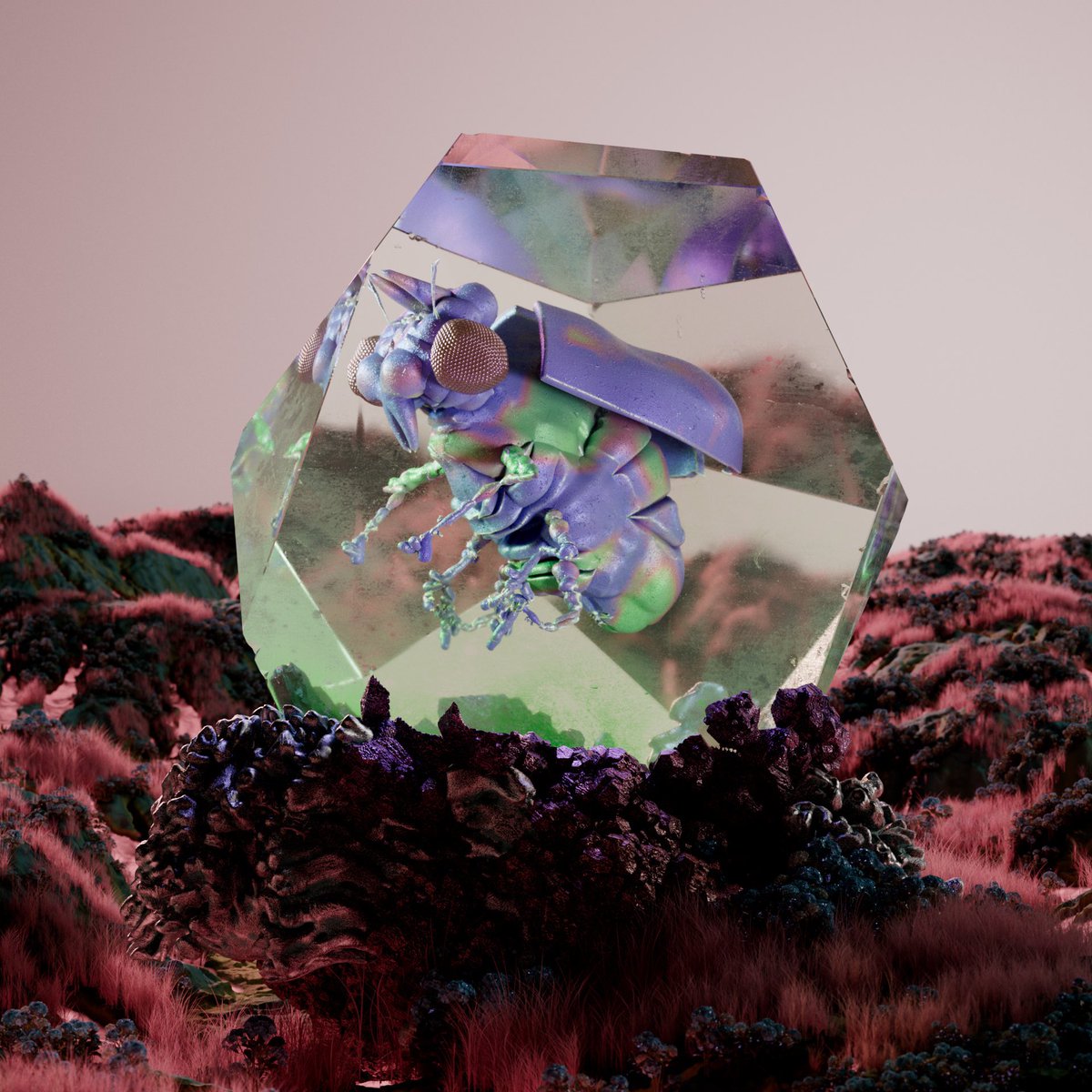 CHRYSALISM tweet media