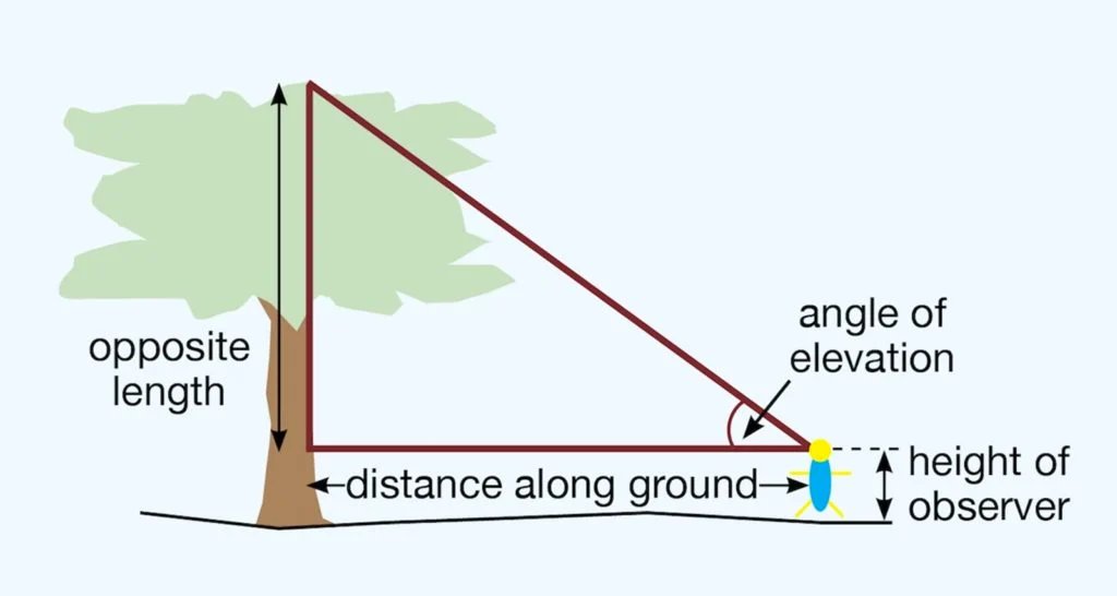 Year 12 spent the last lesson of the term measuring tree height and calculating carbon storage of trees on our site.  Adapting some resources from <a href="/NHM_London/">Natural History Museum</a> and <a href="/FieldStudiesC/">Field Studies Council</a>.
