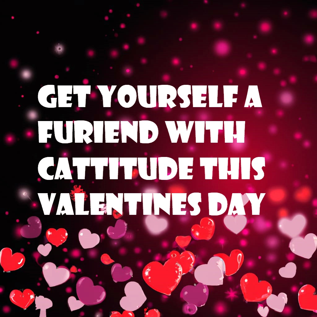 H Queens Myths Collection dropping on @HederaSentient 14th of February!
More details in Discord: discord.gg/quPSfuDh
Meow know you want one 😹