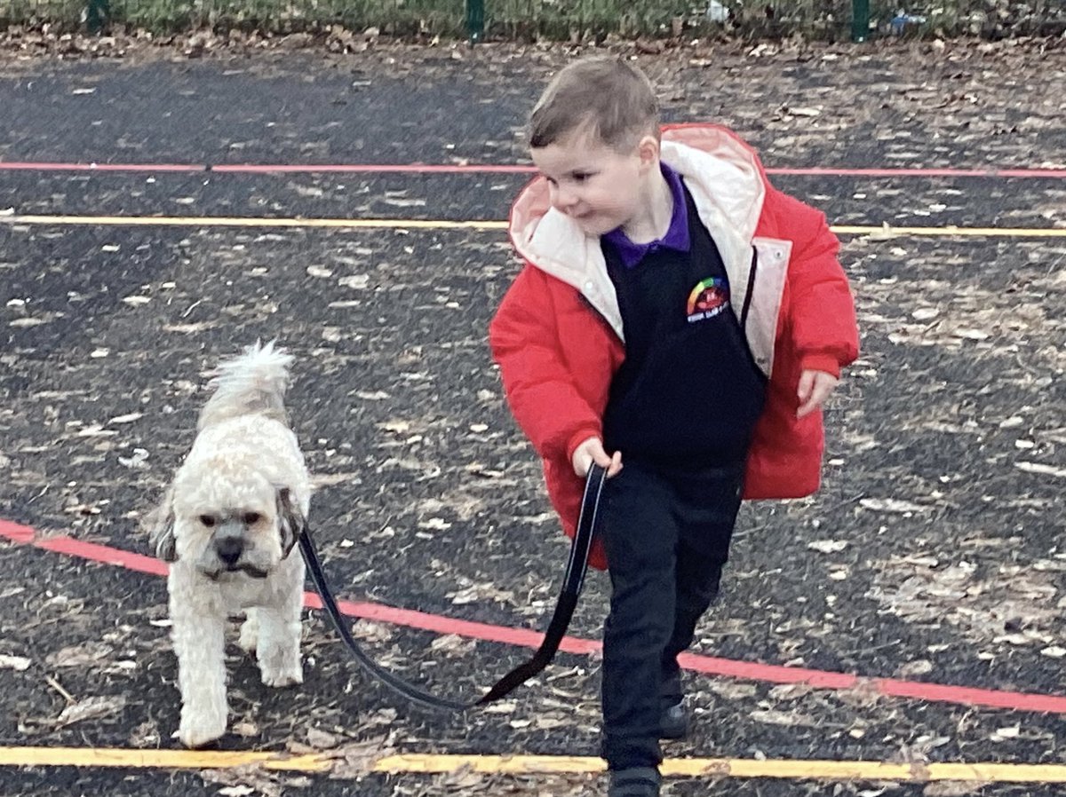 YsgolLlanypwll's tweet photo. 🐶Roedd pawb wedi dotio gydag ein ymwelydd heddiw. Y plant wrth eu boddau yn dysgu sut i edrych ar ôl anifeiliaid anwes cyn rhoi help llaw a helpu gyda’r ci.
Everyone had fun with our visitor today. The children learnt about looking after pets before trying out their new skills https://t.co/p68HahSzga