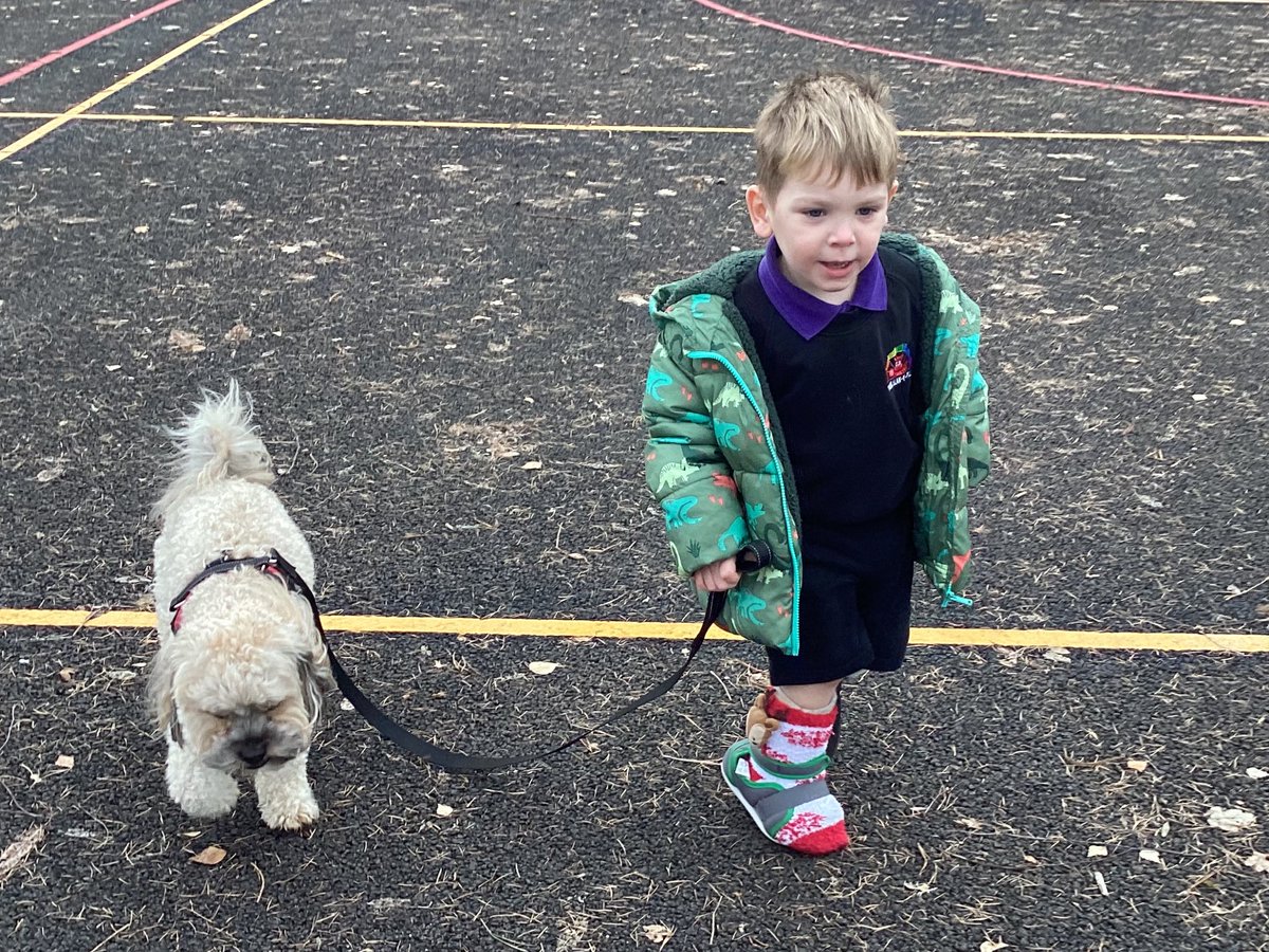 YsgolLlanypwll's tweet photo. 🐶Roedd pawb wedi dotio gydag ein ymwelydd heddiw. Y plant wrth eu boddau yn dysgu sut i edrych ar ôl anifeiliaid anwes cyn rhoi help llaw a helpu gyda’r ci.
Everyone had fun with our visitor today. The children learnt about looking after pets before trying out their new skills https://t.co/p68HahSzga
