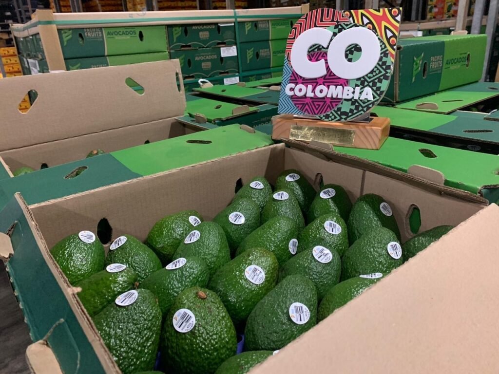 globalforumec's tweet photo. "Hass colombiano 🥑🥑 se la juega toda para hacer “Touchdown” en el Super Bowl. Después de Acción de Gracias, este es el evento que más reúne a familias y amigos en Estados Unidos. ". #portalfruticola https://t.co/DNPynopnr0 https://t.co/gAV3BfBIab
