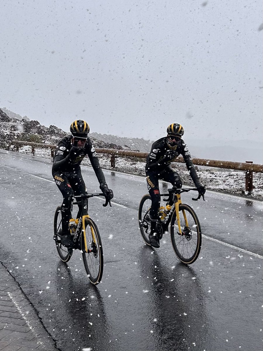 grischa niermann tweet media