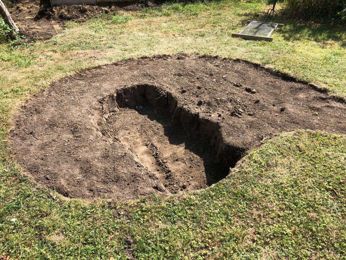 InternetOfHens's tweet photo. Pond thread. Dug in the summer, filled in the autumn.

I'll add pics here as it gets established (or tips into disaster). https://t.co/IzmxkZ1WfR