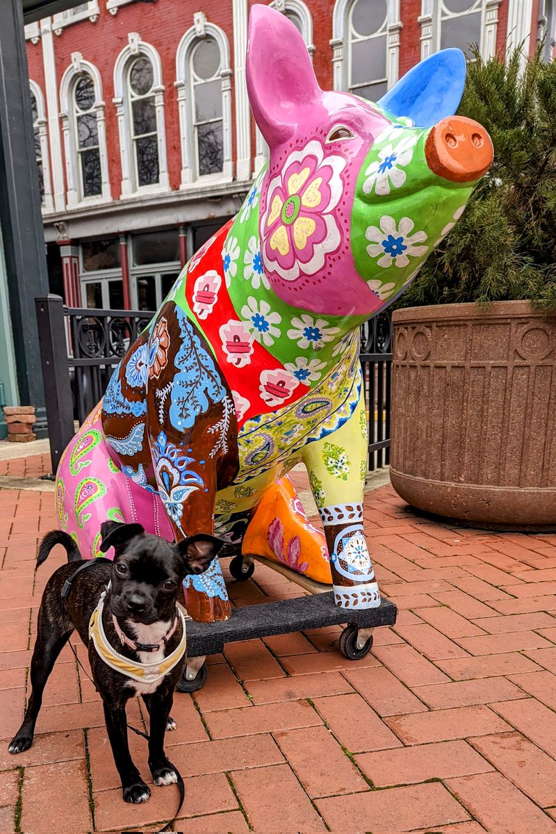 TheLeahSimpson's tweet photo. Josie Burrow, my little piglet. https://t.co/tukHownVZK