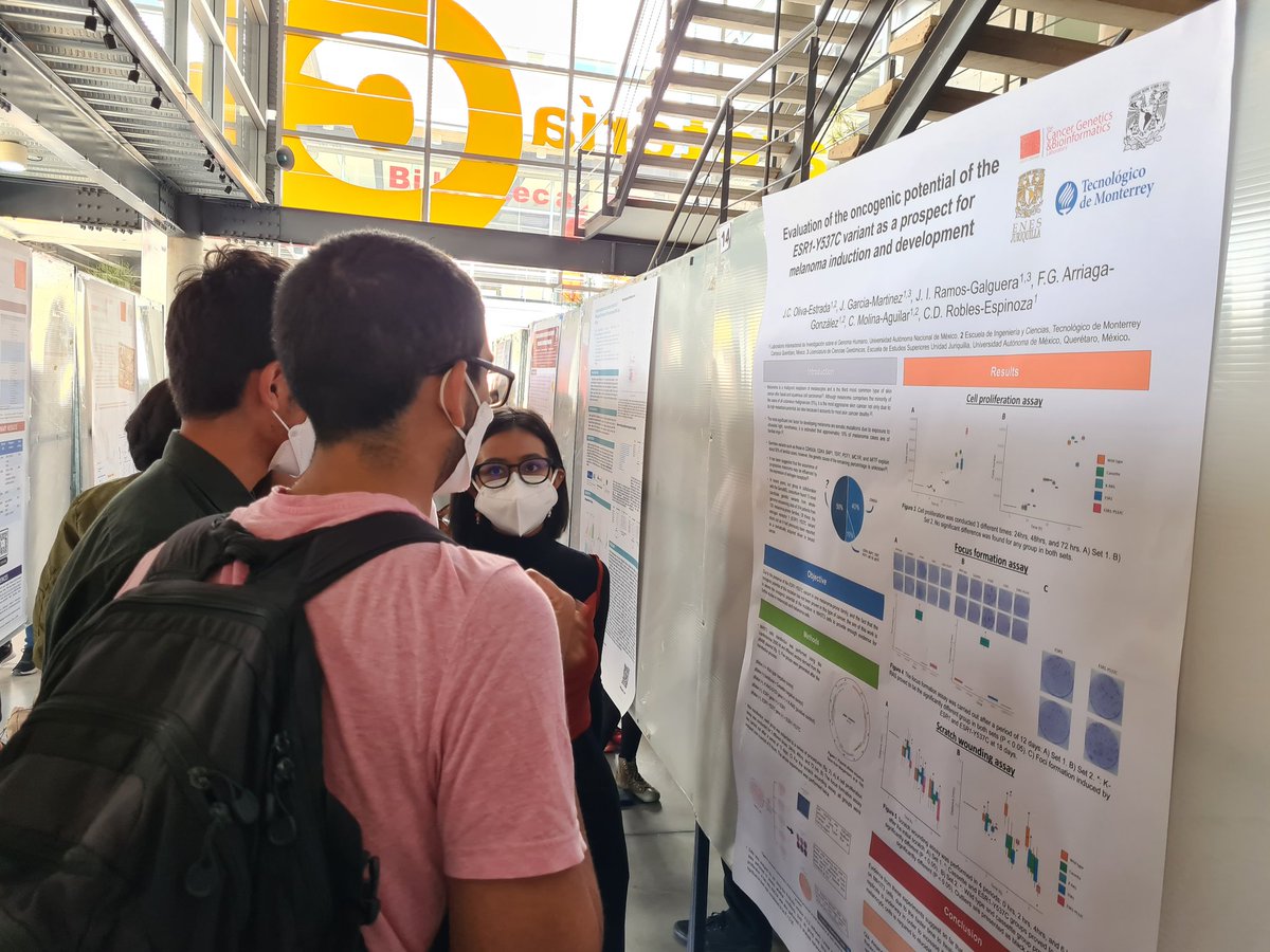 daniela_oaks's tweet image. Nuestro lab presentó 4 posters #DiasAcademicosLIIGH: @JRCWong_R - fusiones de RNAseq, @jessicagarrr, @itzel_galguera - nuevas variantes de riesgo a #melanoma, @Eardil - predisposición genética a melanoma #acral, y @elfpie y @FerArriaga_09 - el efecto de la alimentación en hígado