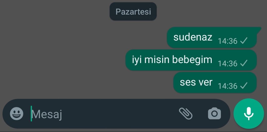 dimensahin's tweet photo. @merveirtgn keske https://t.co/cytLzD2ayV