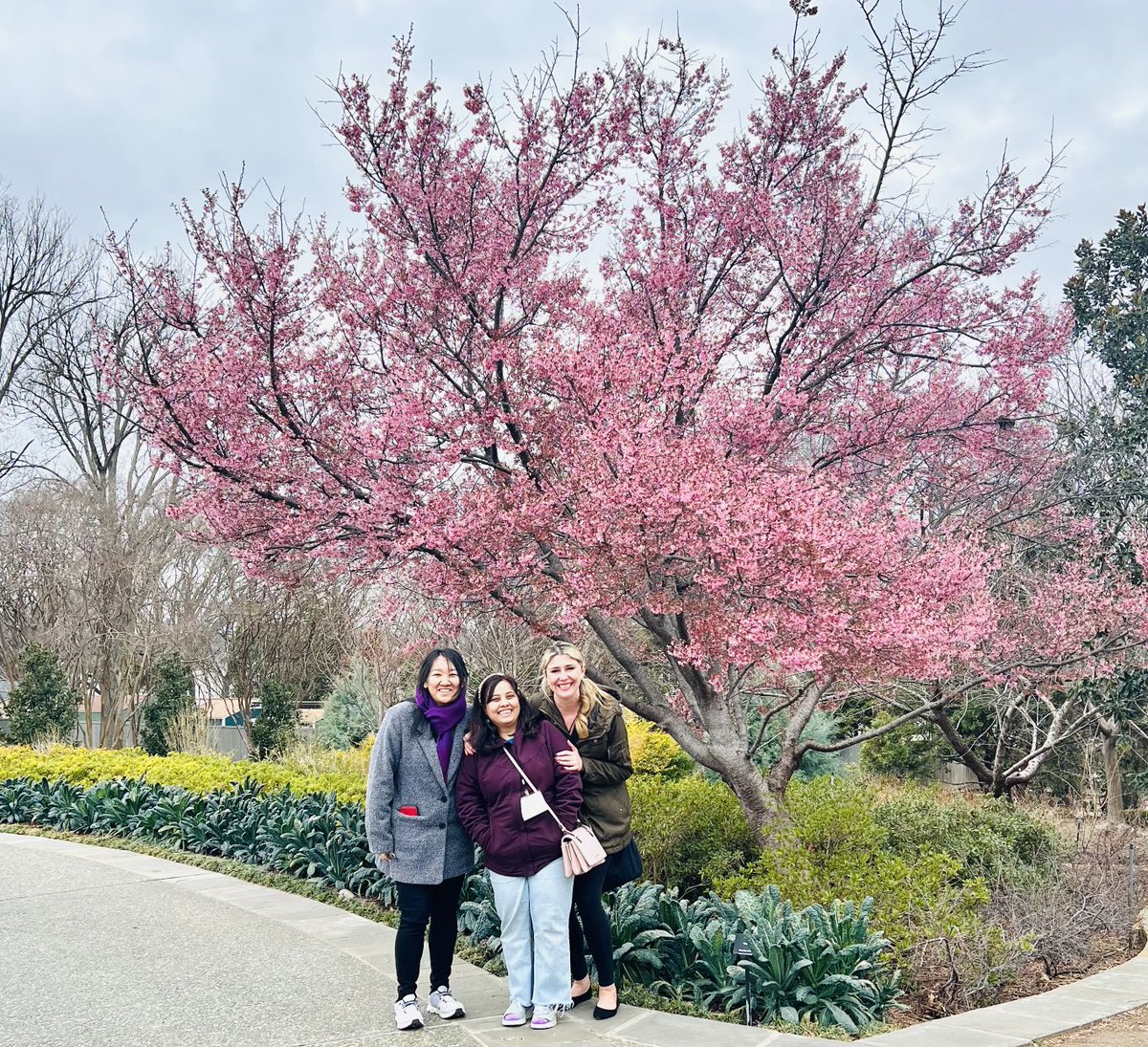 Enjoying the GDD Retreat #GDDRetreat2023 ⁦<a href="/GDDgradprogUTSW/">GD&D</a>⁩