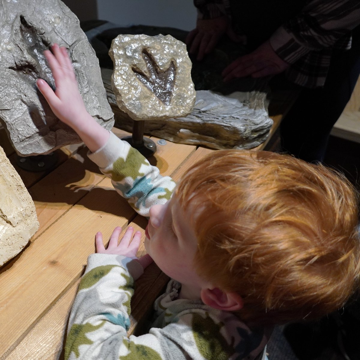 Explore Dinosaurs: Fossils Exposed at the FHDC! Explore the world of these amazing creatures that once dominated our planet! See 6 full skeletons, uncover fossils in the dig pit, and play in the wooden tunnels. Learn more at bit.ly/3Ynnu4e.