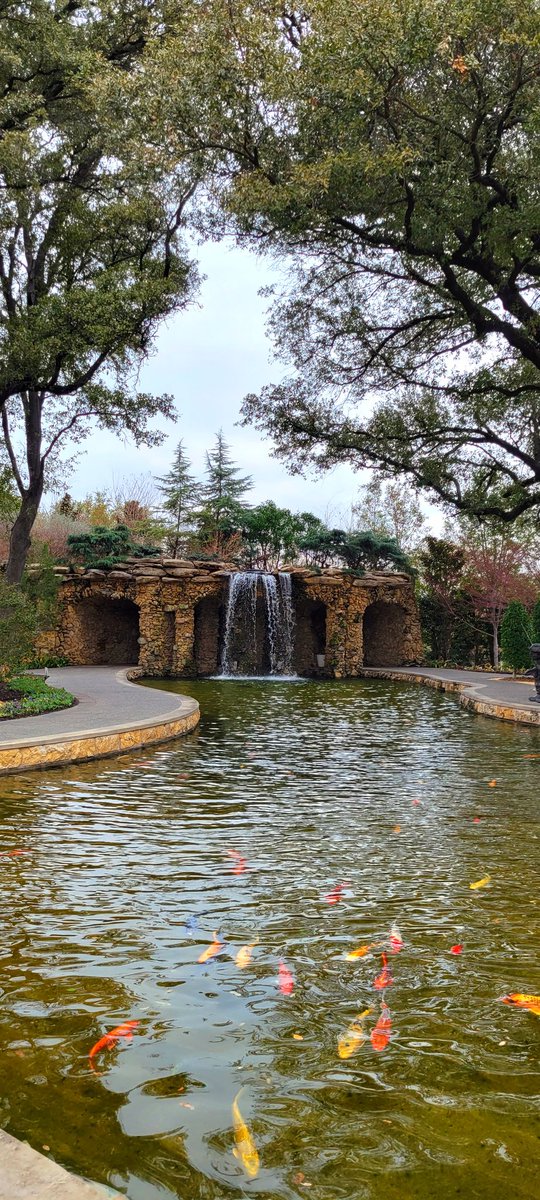 ShwetaT94400458's tweet image. #GDDRetreat2023
@GDDgradprogUTSW @dallasarboretum 
#naturebeauty
@Jewell_Lab