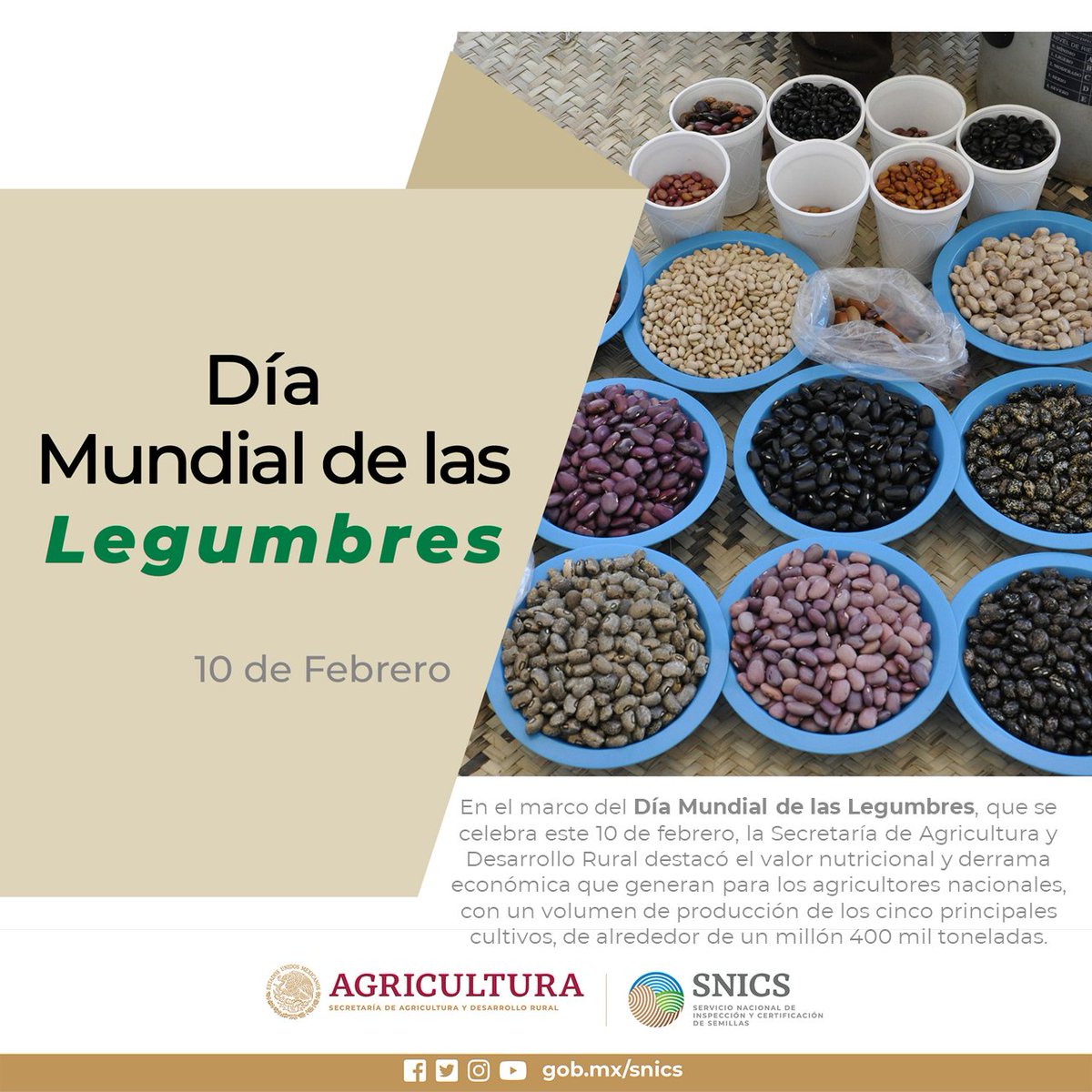 SNICS_MX's tweet photo. #diamundialdelaslegumbres 
#10DeFebrero https://t.co/0yjj09WC9V