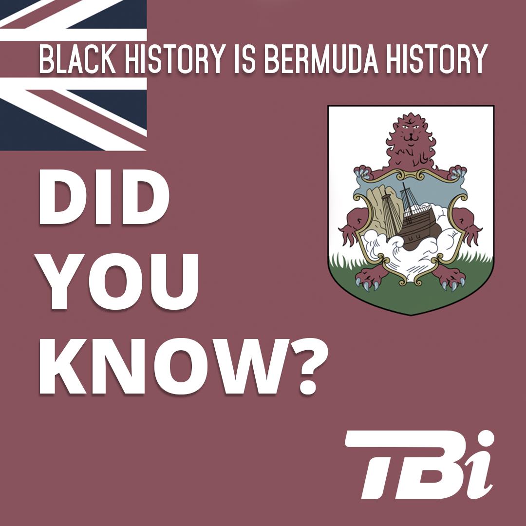 TeleBermuda (TBi) tweet media