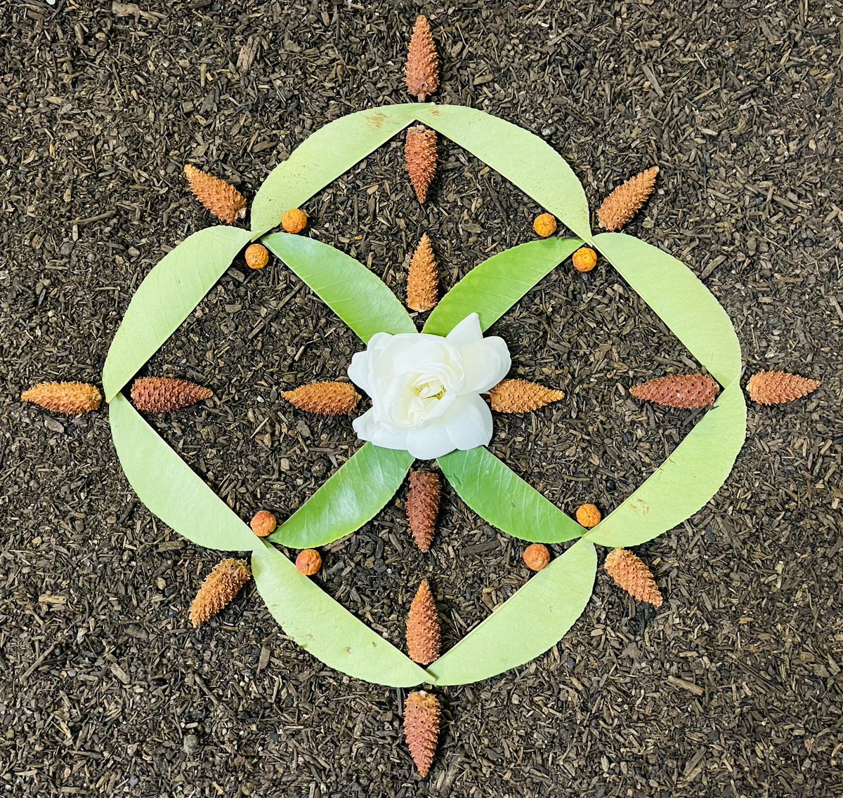 bobby_kountz's tweet image. Hello Good Sir @DerekRKing2 
Happy to share my #EarthArt 

HBU? #ShareYourStuff 🏷️ @MQuigley1963 @DaisyWo62695811 @estella_dawn @pwasySounds @EmmyRBennett @joanne_paulson @OyinloyeSabrina @JBelle_Poems @NinaIvAndrews @RaelleLogan1 @ElenaRuiz_Poet 
🎨🎼🗣️📚💡🎙️⛓️🗝️🎁💛🧩🎭📸 🎨