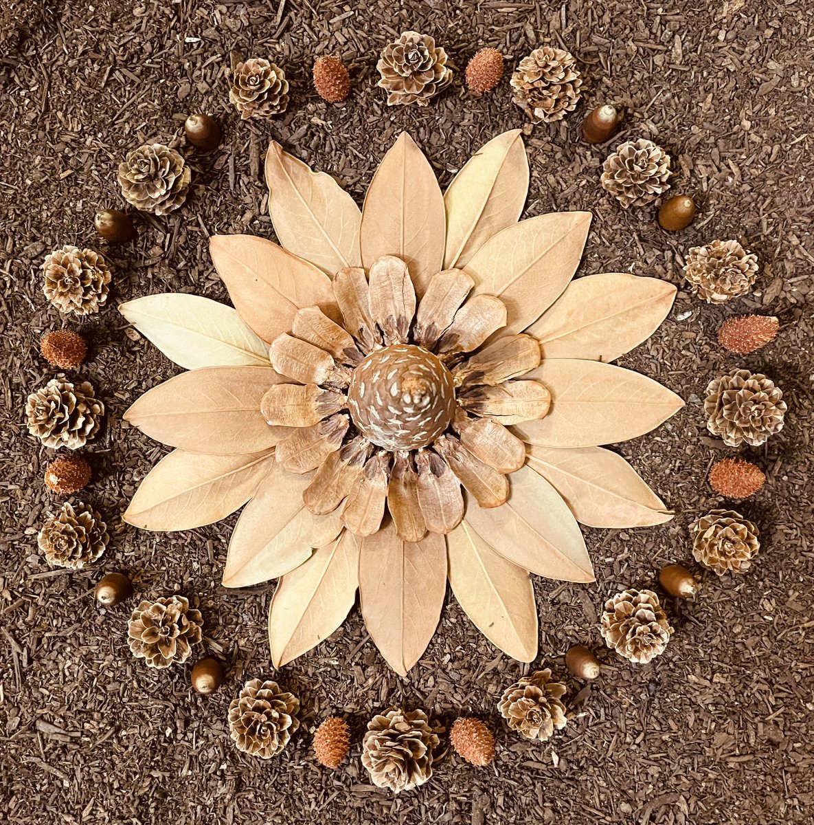 bobby_kountz's tweet image. Hello Good Sir @DerekRKing2 
Happy to share my #EarthArt 

HBU? #ShareYourStuff 🏷️ @MQuigley1963 @DaisyWo62695811 @estella_dawn @pwasySounds @EmmyRBennett @joanne_paulson @OyinloyeSabrina @JBelle_Poems @NinaIvAndrews @RaelleLogan1 @ElenaRuiz_Poet 
🎨🎼🗣️📚💡🎙️⛓️🗝️🎁💛🧩🎭📸 🎨