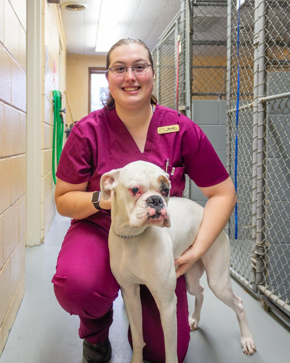 Phelps Veterinary Hospital tweet media