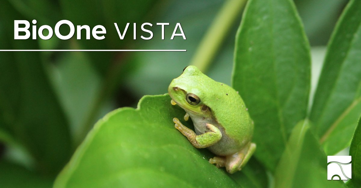 Explore #herpetology research from @ssarherps, @PaleoSoc, @ivb_cas #JVertBiol, @WildlifeDisease, @AazvZoovets, @SNVBorg and more with the latest BioOne VISTA: bio-one.co/3izGAEs

#Reptiles #Amphibians