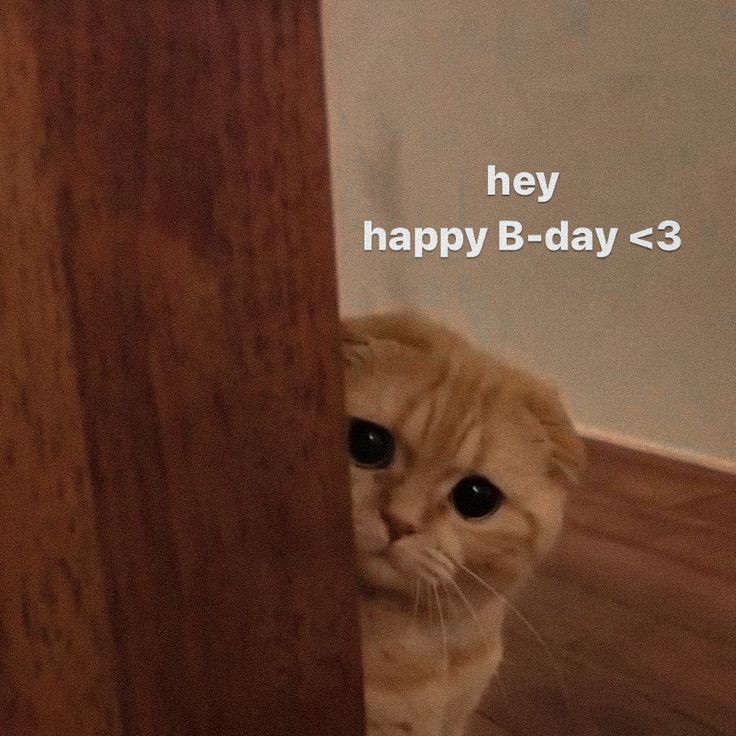 tweets_aamir's tweet photo. Happy birthday 🥳🎂 https://t.co/L0WXCfu0hi