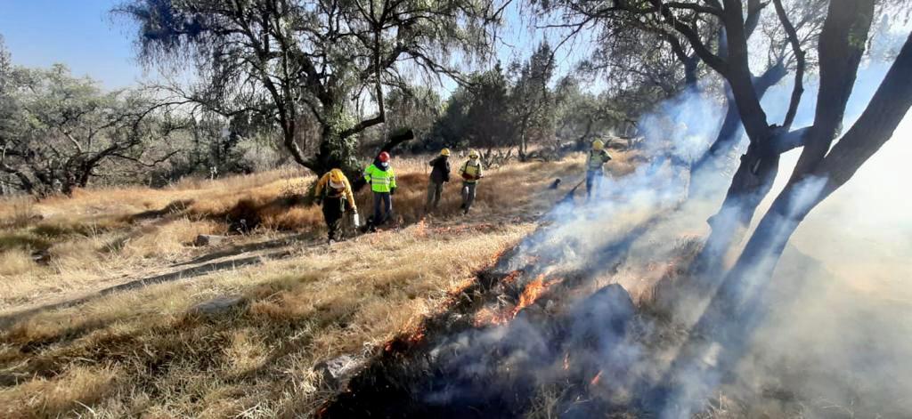 AmbienteEdomex's tweet photo. Guardaparques de la #CGCE de la #SMAGEM, en colaboración con @Probosque_ y voluntarios de #Veredeando, realizan acciones preventivas para evitar #IncendiosForestales durante la temporada de estiaje, como son las líneas negras, en el #ParqueEstatalSierraDeGuadalupe. https://t.co/KIkye8eW1F