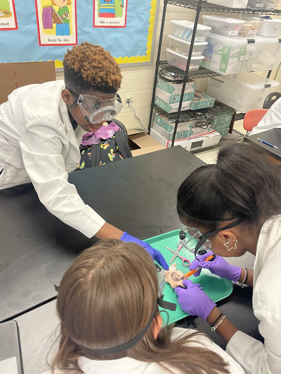 ARichardsonCCS's tweet photo. The 6th grade @NCMSTitans scientists have been pretty busy this week. I was able to catch them in their labs dissecting a cow eye. The intrigue, the discussion, and analysis was at an all time high with Mr. Barcroft &amp; Ms. Murray classes. #ccsrise @CabCoSchools https://t.co/bGigDijtNd